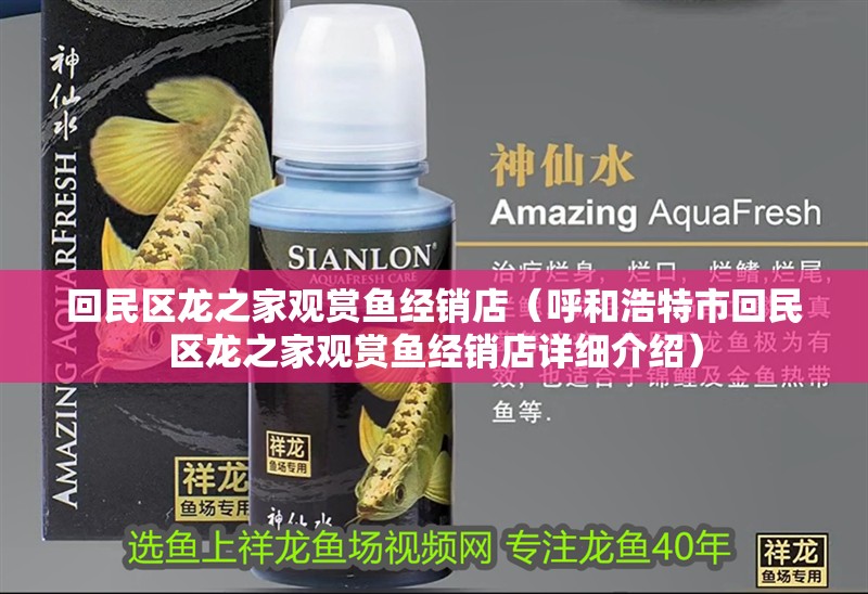 回民區龍之家觀賞魚經銷店（呼和浩特市回民區龍之家觀賞魚經銷店詳細介紹）