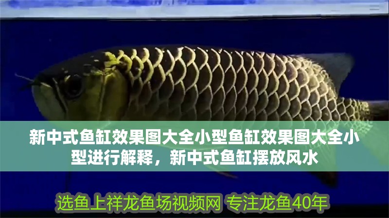 新中式魚缸效果圖大全小型魚缸效果圖大全小型進行解釋，新中式魚缸擺放風水 新中式魚缸效果圖大全小型魚缸效果圖大全小型進行解釋，新中式魚缸擺放風水 觀賞魚百科 第1張