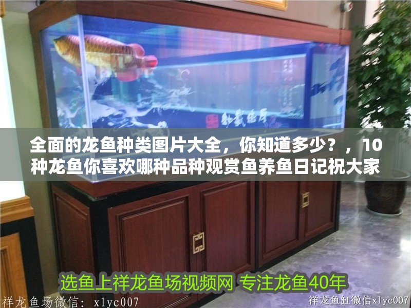 全面的龍魚種類圖片大全，你知道多少？，10種龍魚你喜歡哪種品種觀賞魚養魚日記祝大家年年有魚魚龍魚