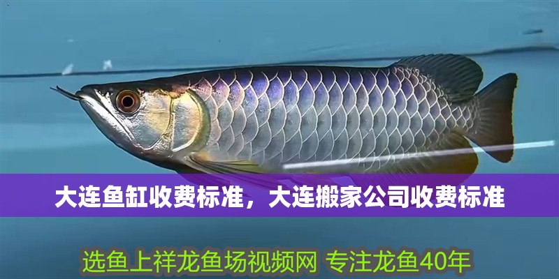 大連魚缸收費標準，大連搬家公司收費標準 大連魚缸收費標準，大連搬家公司收費標準 觀賞魚百科 第4張