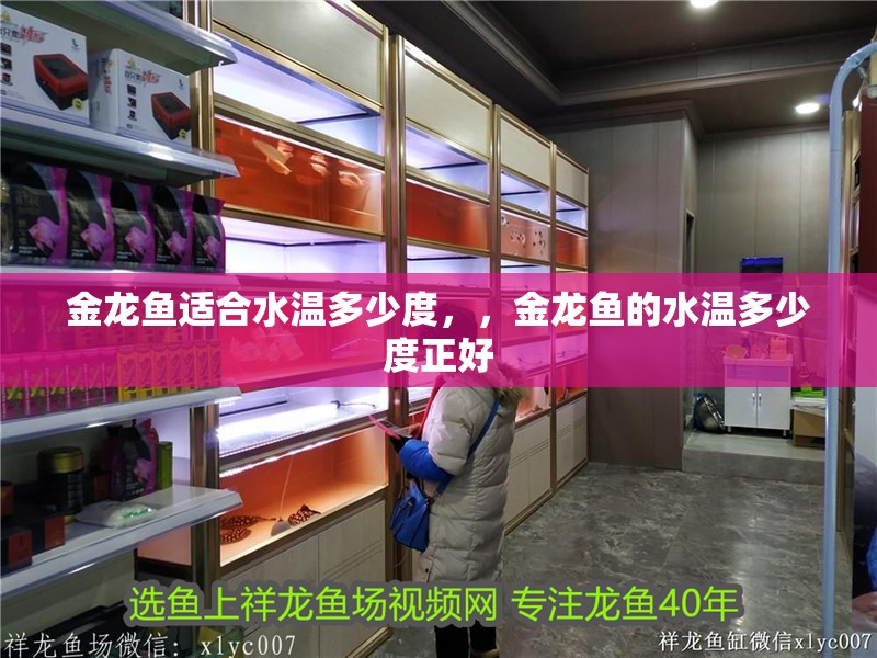 金龍魚適合水溫多少度，，金龍魚的水溫多少度正好