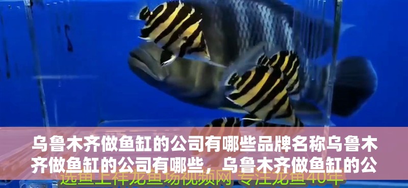 烏魯木齊做魚缸的公司有哪些品牌名稱烏魯木齊做魚缸的公司有哪些，烏魯木齊做魚缸的公司有哪些