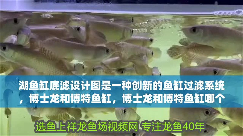 湖魚缸底濾設計圖是一種創新的魚缸過濾系統，博士龍和博特魚缸，博士龍和博特魚缸哪個好