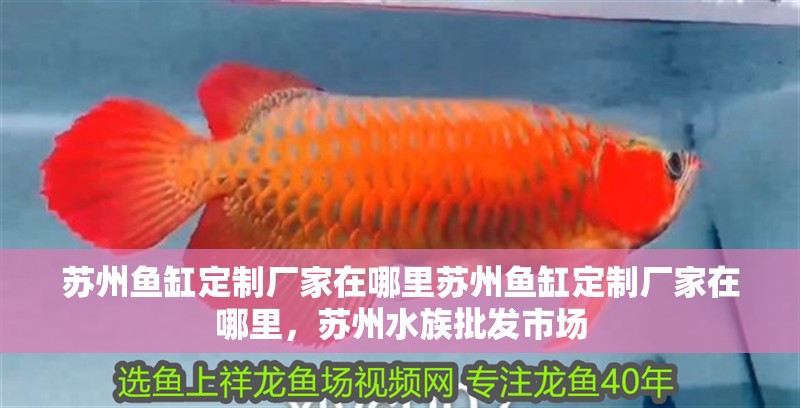 蘇州魚缸定制廠家在哪里蘇州魚缸定制廠家在哪里，蘇州水族批發(fā)市場(chǎng)