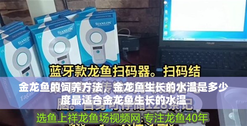 金龍魚的飼養方法，金龍魚生長的水溫是多少度最適合金龍魚生長的水溫