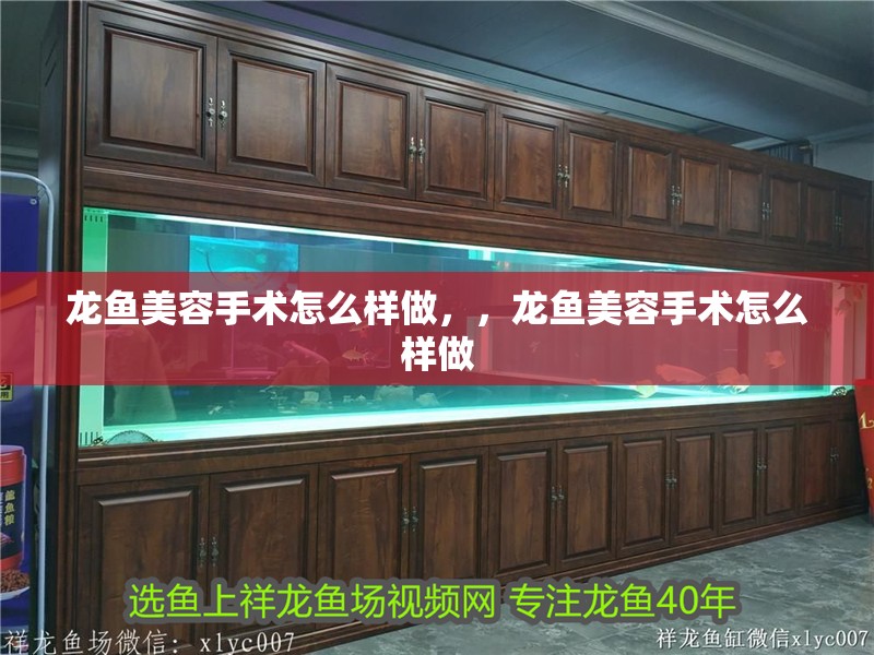 龍魚美容手術怎么樣做，，龍魚美容手術怎么樣做