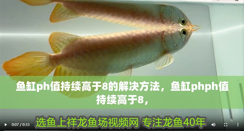 魚缸ph值持續(xù)高于8的解決方法，魚缸phph值持續(xù)高于8，