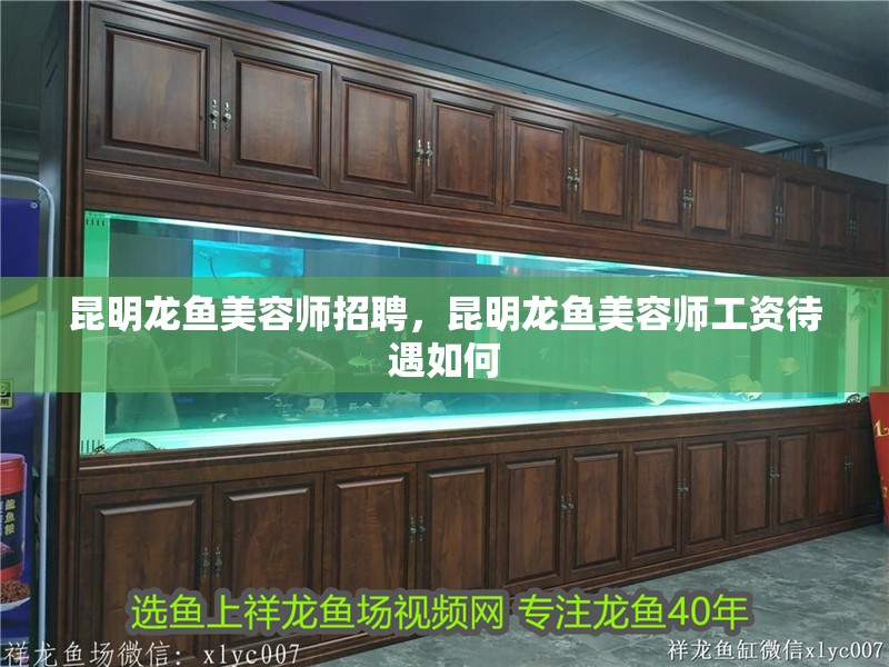 昆明龍魚美容師招聘，昆明龍魚美容師工資待遇如何