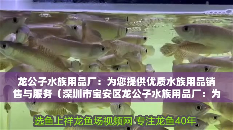 龍公子水族用品廠:為您提供優(yōu)質(zhì)水族用品銷售與服務(wù)(深圳市寶安區(qū)龍公子水族用品廠:為您提供優(yōu)質(zhì)水族用品銷售與服務(wù)) 觀賞魚百科 第4張 龍公子水族用品廠:為您提供優(yōu)質(zhì)水族用品銷售與服務(wù)(深圳市寶安區(qū)龍公子水族用品廠:為您提供優(yōu)質(zhì)水族用品銷售與服務(wù)) 龍公子水族用品廠:為您提供優(yōu)質(zhì)水族用品銷售與服務(wù)(深圳市寶安區(qū)龍公子水族用品廠:為您提供優(yōu)質(zhì)水族用品銷售與服務(wù)) 觀賞魚百科 第4張