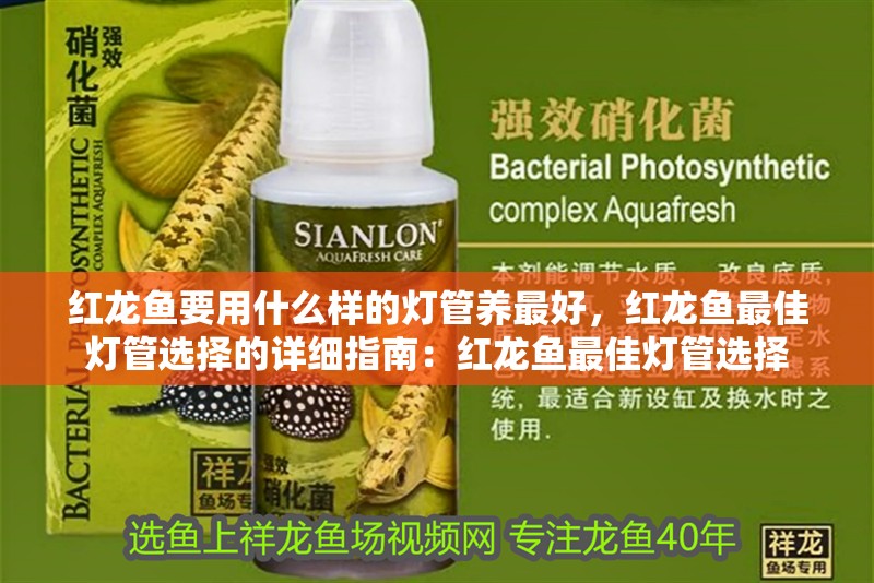 紅龍魚要用什么樣的燈管養最好，紅龍魚最佳燈管選擇的詳細指南：紅龍魚最佳燈管選擇