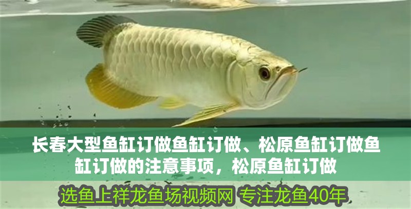 長春大型魚缸訂做魚缸訂做、松原魚缸訂做魚缸訂做的注意事項，松原魚缸訂做