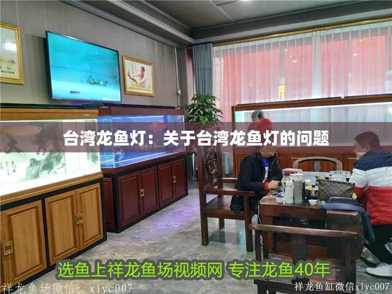 臺灣龍魚燈：關于臺灣龍魚燈的問題