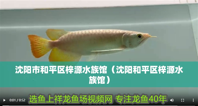 沈陽市和平區(qū)梓源水族館（沈陽和平區(qū)梓源水族館）