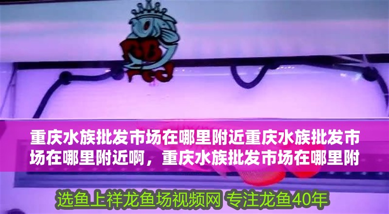 重慶水族批發(fā)市場(chǎng)在哪里附近重慶水族批發(fā)市場(chǎng)在哪里附近啊，重慶水族批發(fā)市場(chǎng)在哪里附近啊