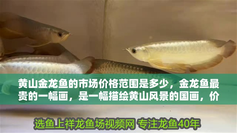 黃山金龍魚的市場價格范圍是多少，金龍魚最貴的一幅畫，是一幅描繪黃山風景的國畫，價格走勢如何