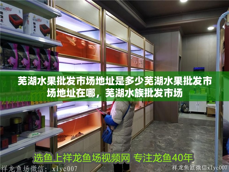 蕪湖水果批發(fā)市場地址是多少蕪湖水果批發(fā)市場地址在哪，蕪湖水族批發(fā)市場 蕪湖水果批發(fā)市場地址是多少蕪湖水果批發(fā)市場地址在哪，蕪湖水族批發(fā)市場 觀賞魚百科 第2張