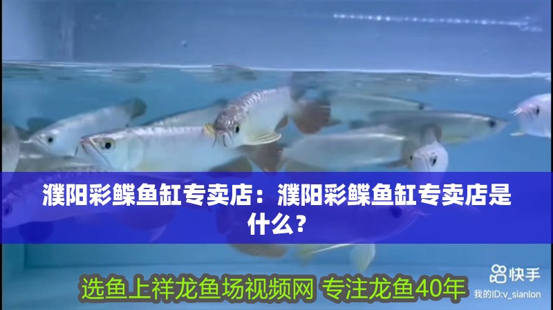 濮陽彩鰈魚缸專賣店：濮陽彩鰈魚缸專賣店是什么？