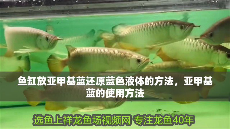 魚缸放亞甲基藍還原藍色液體的方法，亞甲基藍的使用方法