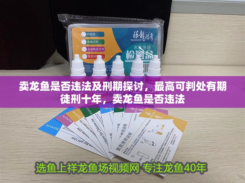 賣龍魚是否違法及刑期探討，最高可判處有期徒刑十年，賣龍魚是否違法