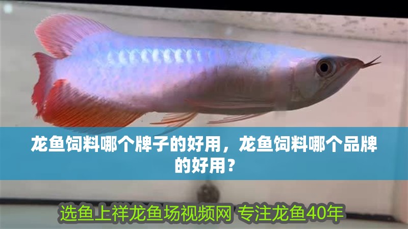 龍魚飼料哪個(gè)牌子的好用，龍魚飼料哪個(gè)品牌的好用？