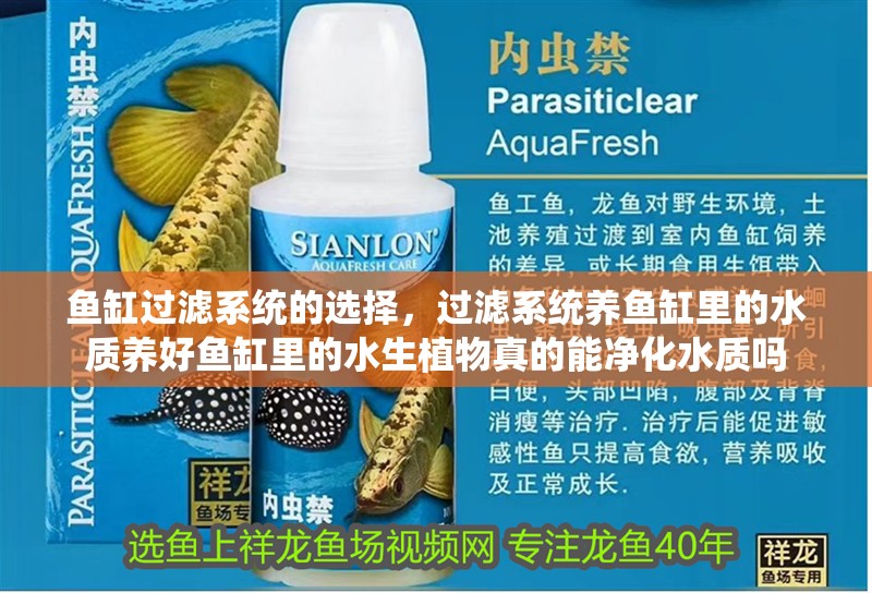 魚缸過濾系統的選擇，過濾系統養魚缸里的水質養好魚缸里的水生植物真的能凈化水質嗎