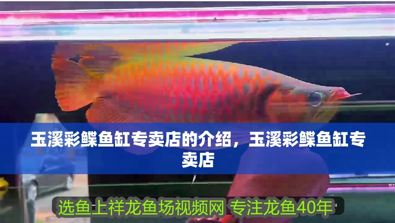 玉溪彩鰈魚缸專賣店的介紹，玉溪彩鰈魚缸專賣店