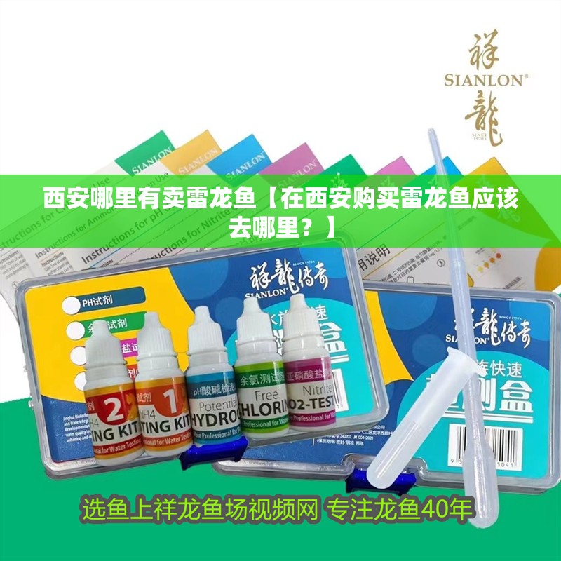西安哪里有賣雷龍魚【在西安購買雷龍魚應(yīng)該去哪里？】