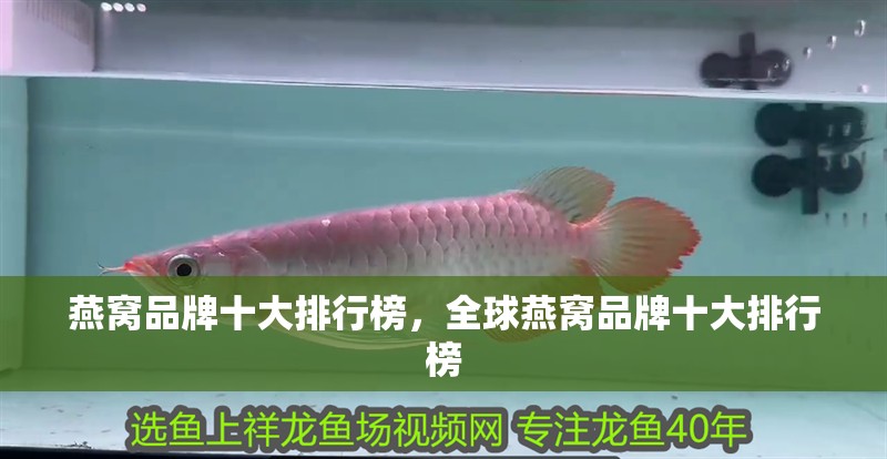 燕窩品牌十大排行榜，全球燕窩品牌十大排行榜