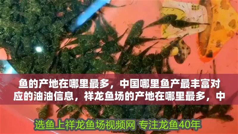 魚的產地在哪里最多，中國哪里魚產最豐富對應的油油信息，祥龍魚場的產地在哪里最多，中國哪里魚產最豐富對應的信息