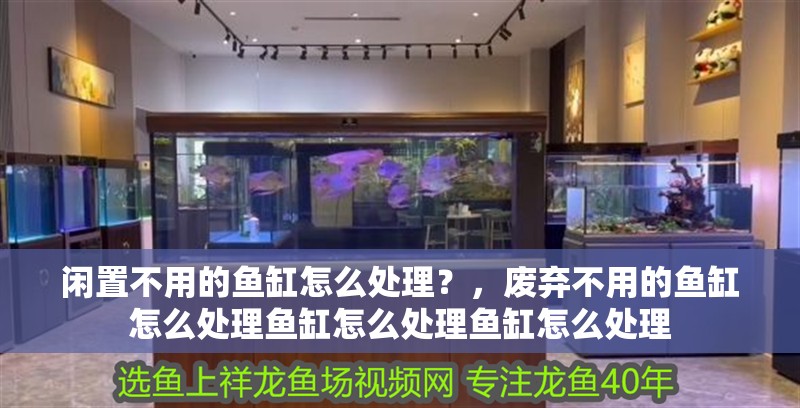 閑置不用的魚缸怎么處理？，廢棄不用的魚缸怎么處理魚缸怎么處理魚缸怎么處理