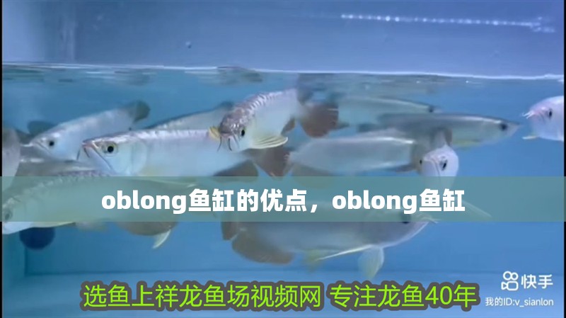 oblong魚缸的優(yōu)點(diǎn)，oblong魚缸