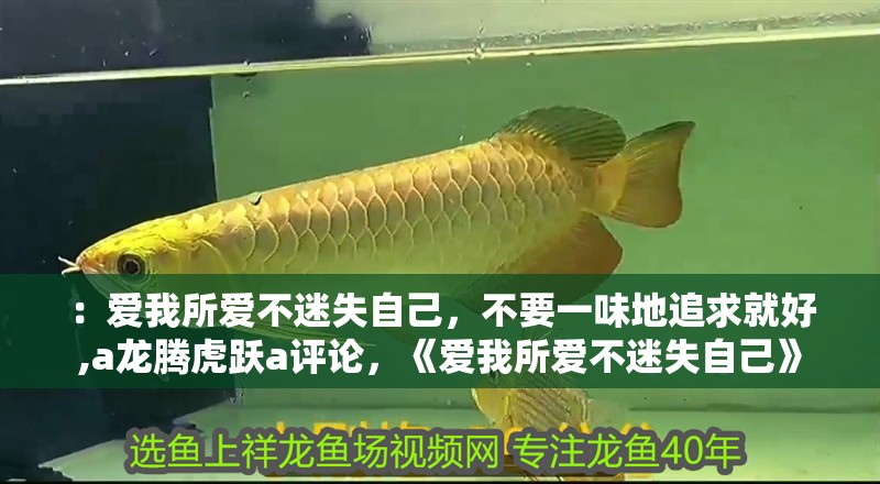 ：愛我所愛不迷失自己，不要一味地追求就好,a龍騰虎躍a評(píng)論，《愛我所愛不迷失自己》