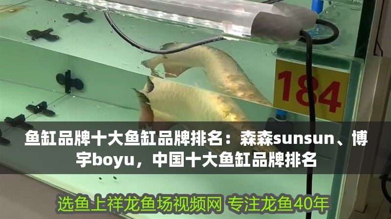魚缸品牌十大魚缸品牌排名：森森sunsun、博宇boyu，中國十大魚缸品牌排名