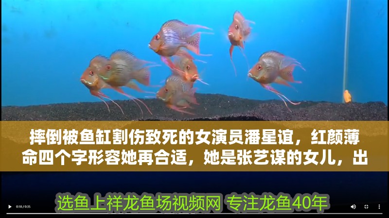 摔倒被魚缸割傷致死的女演員潘星誼，紅顏薄命四個字形容她再合適，她是張藝謀的女兒，出演《幸福時光》一炮而紅