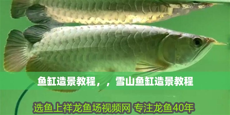 魚缸造景教程，，雪山魚缸造景教程