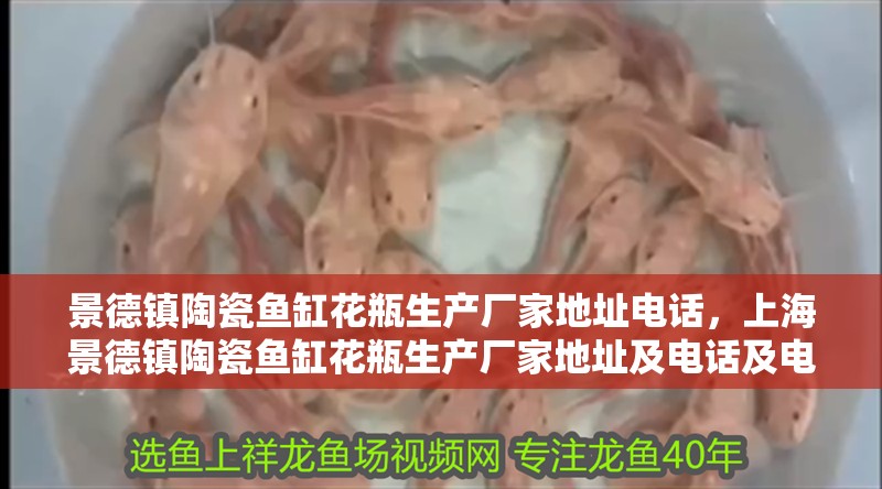 景德鎮陶瓷魚缸花瓶生產廠家地址電話，上海景德鎮陶瓷魚缸花瓶生產廠家地址及電話及電話及地址及電話