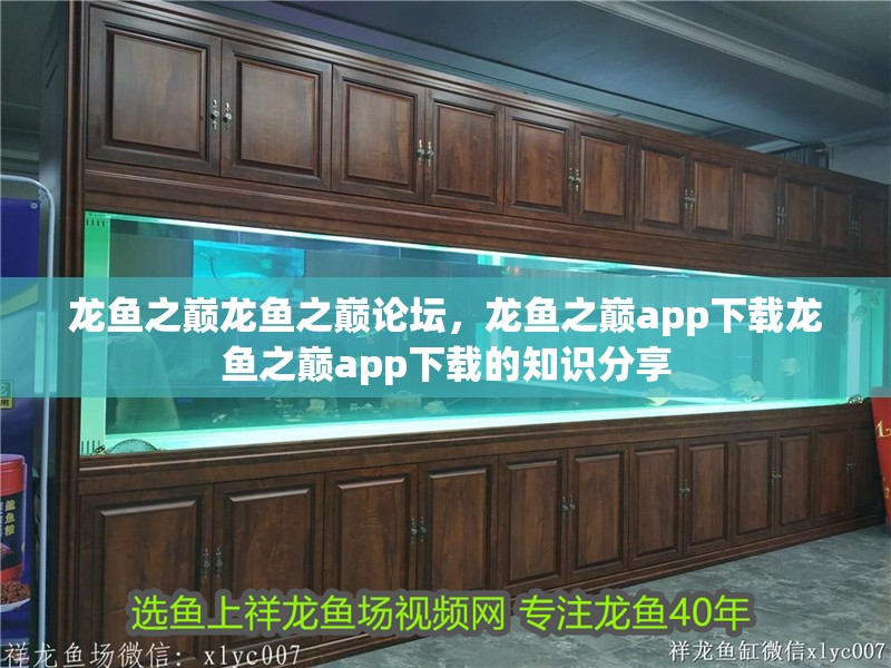 龍魚之巔龍魚之巔論壇，龍魚之巔app下載龍魚之巔app下載的知識分享