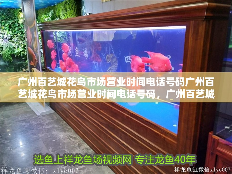 廣州百藝城花鳥市場營業時間電話號碼廣州百藝城花鳥市場營業時間電話號碼，廣州百藝城花鳥市場