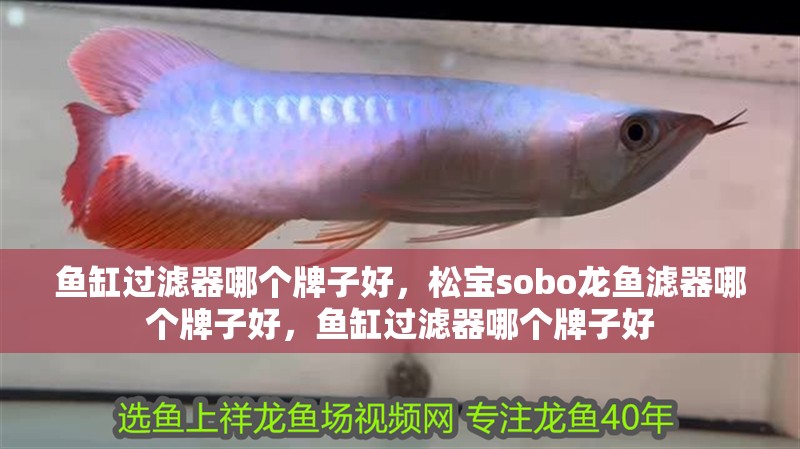 魚缸過濾器哪個牌子好，松寶sobo龍魚濾器哪個牌子好，魚缸過濾器哪個牌子好