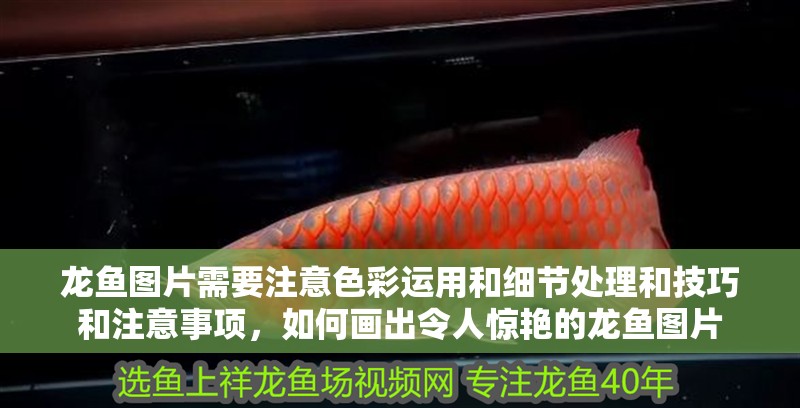 魚缸過濾器選購指南:自制魚缸過濾器魚缸上置過濾器對于養魚愛好者的必備知識 龍魚圖片需要注意色彩運用和細節處理和技巧和注意事項,如何畫出令人驚艷的龍魚圖片 觀賞魚百科 龍魚圖片需要注意色彩運用和細節處理和技巧和注意事項,如何畫出令人驚艷的龍魚圖片 龍魚圖片需要注意色彩運用和細節處理和技巧和注意事項,如何畫出令人驚艷的龍魚圖片 觀賞魚百科