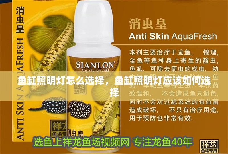 魚缸照明燈怎么選擇，魚缸照明燈應該如何選擇 魚缸照明燈怎么選擇，魚缸照明燈應該如何選擇 觀賞魚百科 第2張