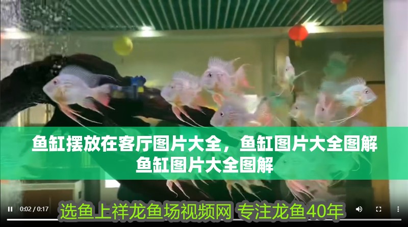 魚缸擺放在客廳圖片大全，魚缸圖片大全圖解魚缸圖片大全圖解