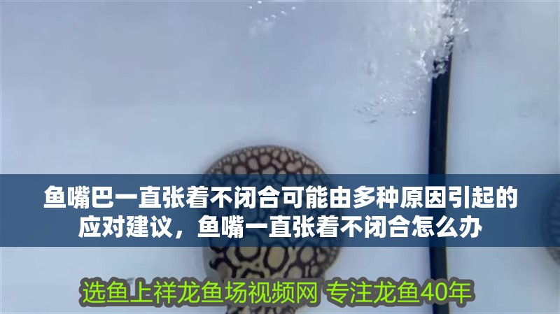 魚嘴巴一直張著不閉合可能由多種原因引起的應對建議，魚嘴一直張著不閉合怎么辦