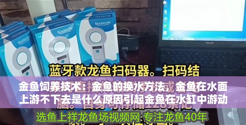 金魚飼養技術：金魚的換水方法，金魚在水面上游不下去是什么原因引起金魚在水缸中游動的