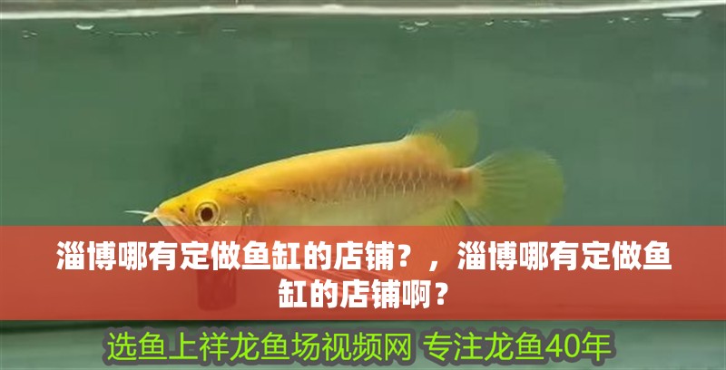 淄博哪有定做魚缸的店鋪？，淄博哪有定做魚缸的店鋪啊？