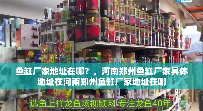魚缸廠家地址在哪？，河南鄭州魚缸廠家具體地址在河南鄭州魚缸廠家地址在哪 魚缸廠家地址在哪？，河南鄭州魚缸廠家具體地址在河南鄭州魚缸廠家地址在哪 觀賞魚百科 第3張