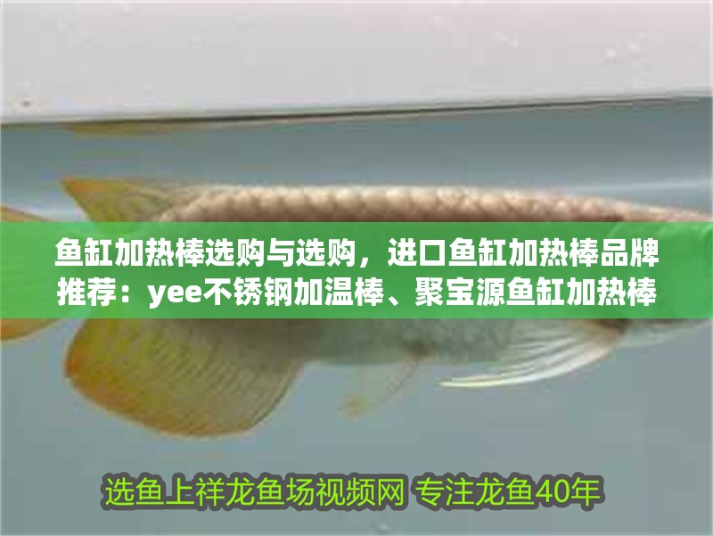 魚缸加熱棒選購與選購，進口魚缸加熱棒品牌推薦：yee不銹鋼加溫棒、聚寶源魚缸加熱棒