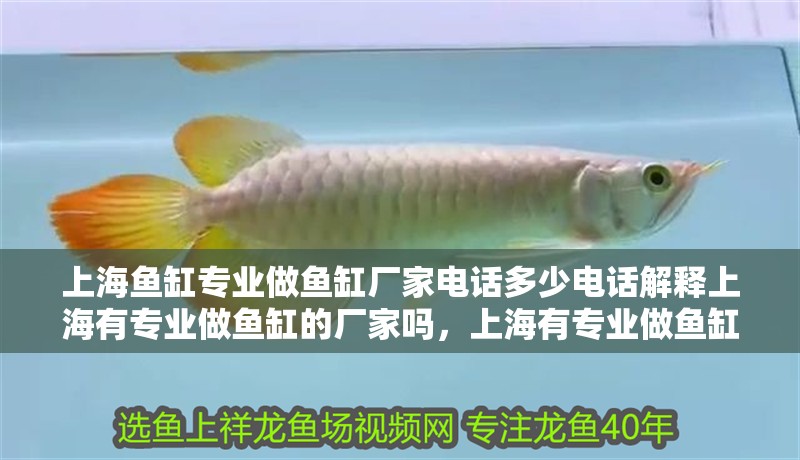上海魚缸專業做魚缸廠家電話多少電話解釋上海有專業做魚缸的廠家嗎，上海有專業做魚缸的廠家嗎