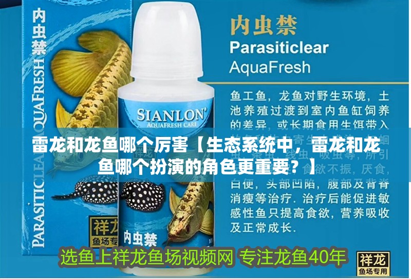 雷龍和龍魚(yú)哪個(gè)厲害【生態(tài)系統(tǒng)中，雷龍和龍魚(yú)哪個(gè)扮演的角色更重要？】
