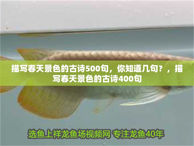 描寫春天景色的古詩500句，你知道幾句？，描寫春天景色的古詩400句